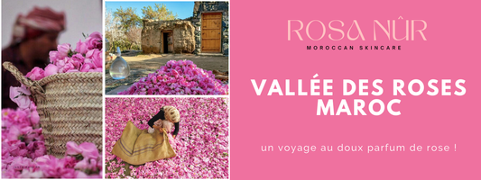 La Rose de Damas du Maroc : Voyage au cœur de la Vallée des Roses